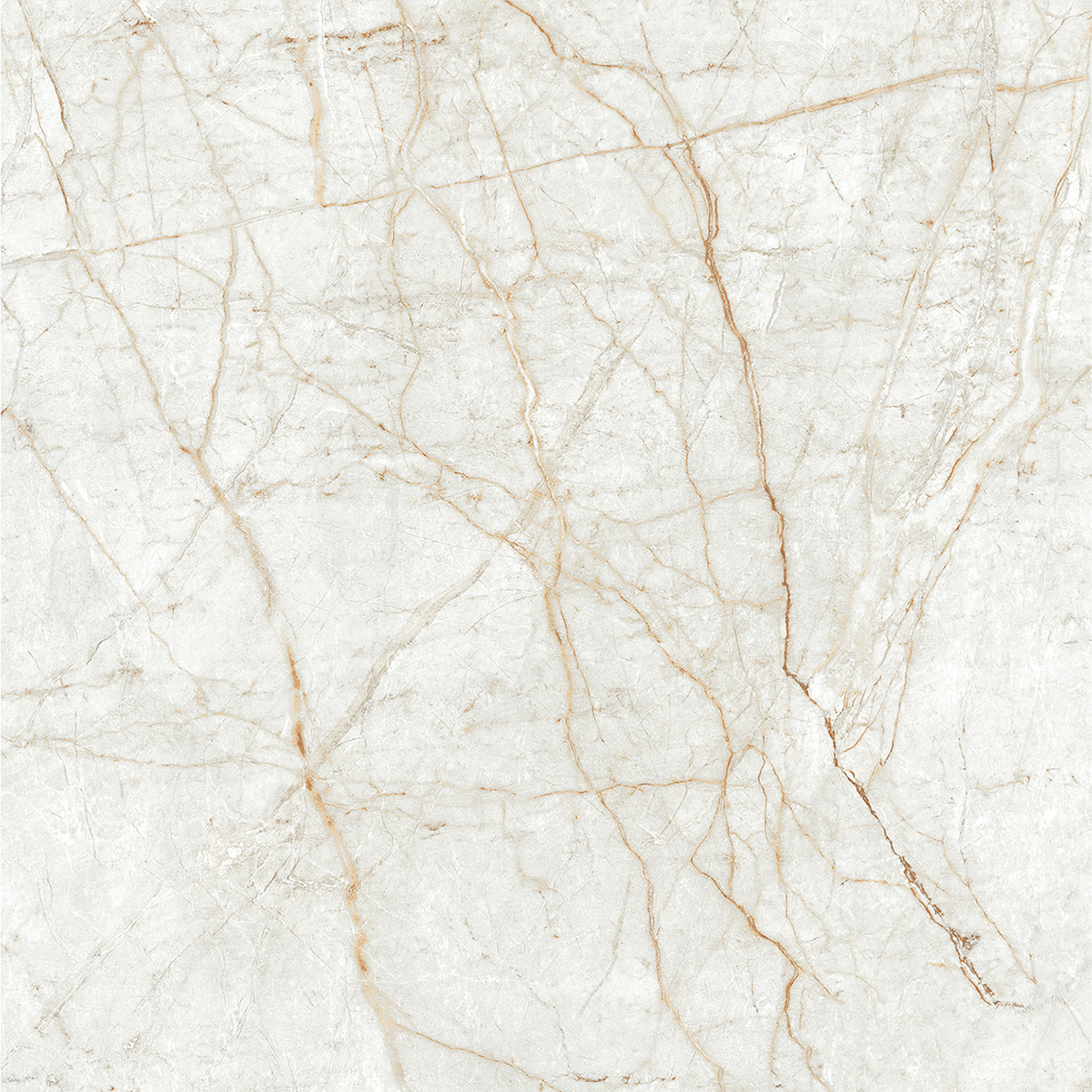 ALGARIA OYSTER