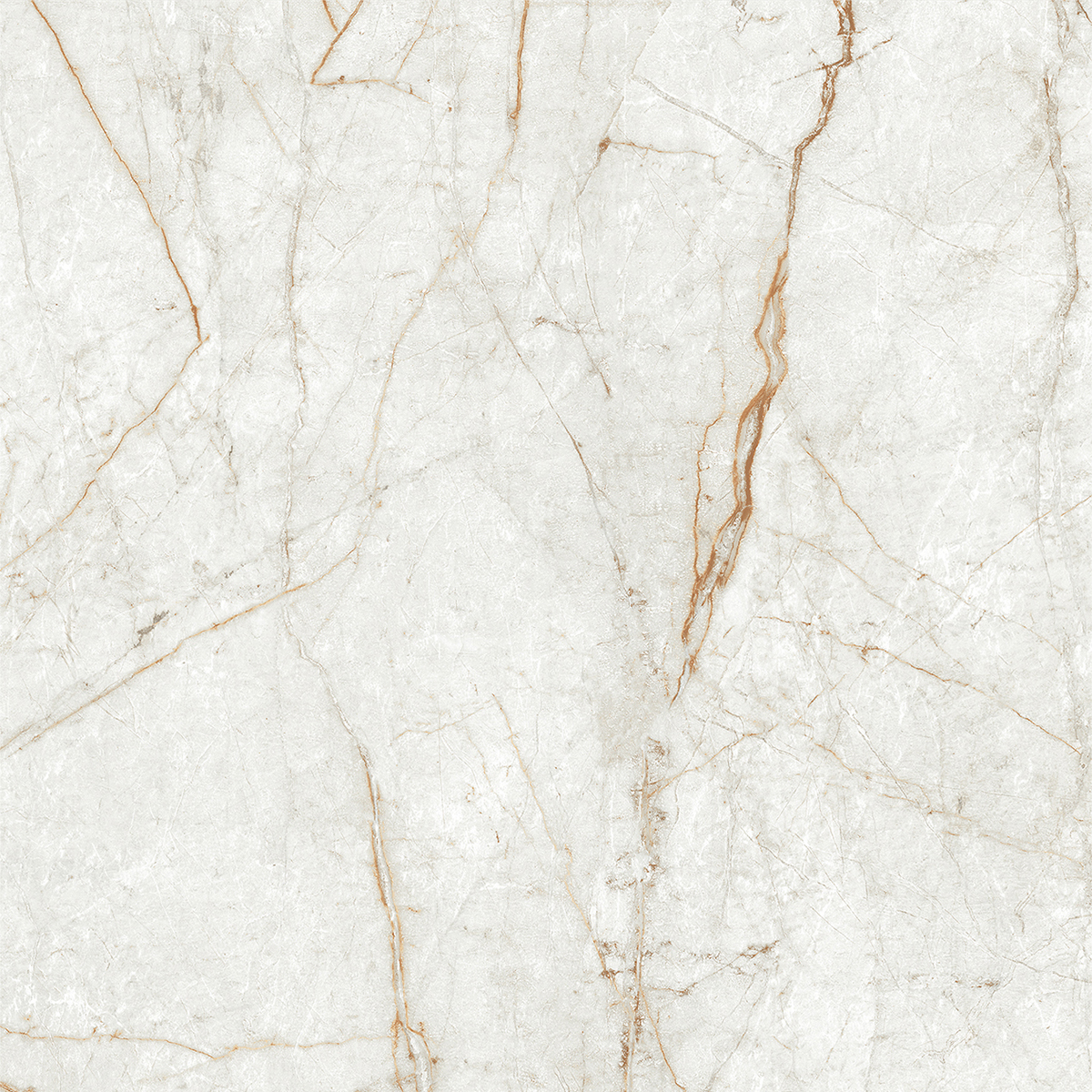 ALGARIA OYSTER