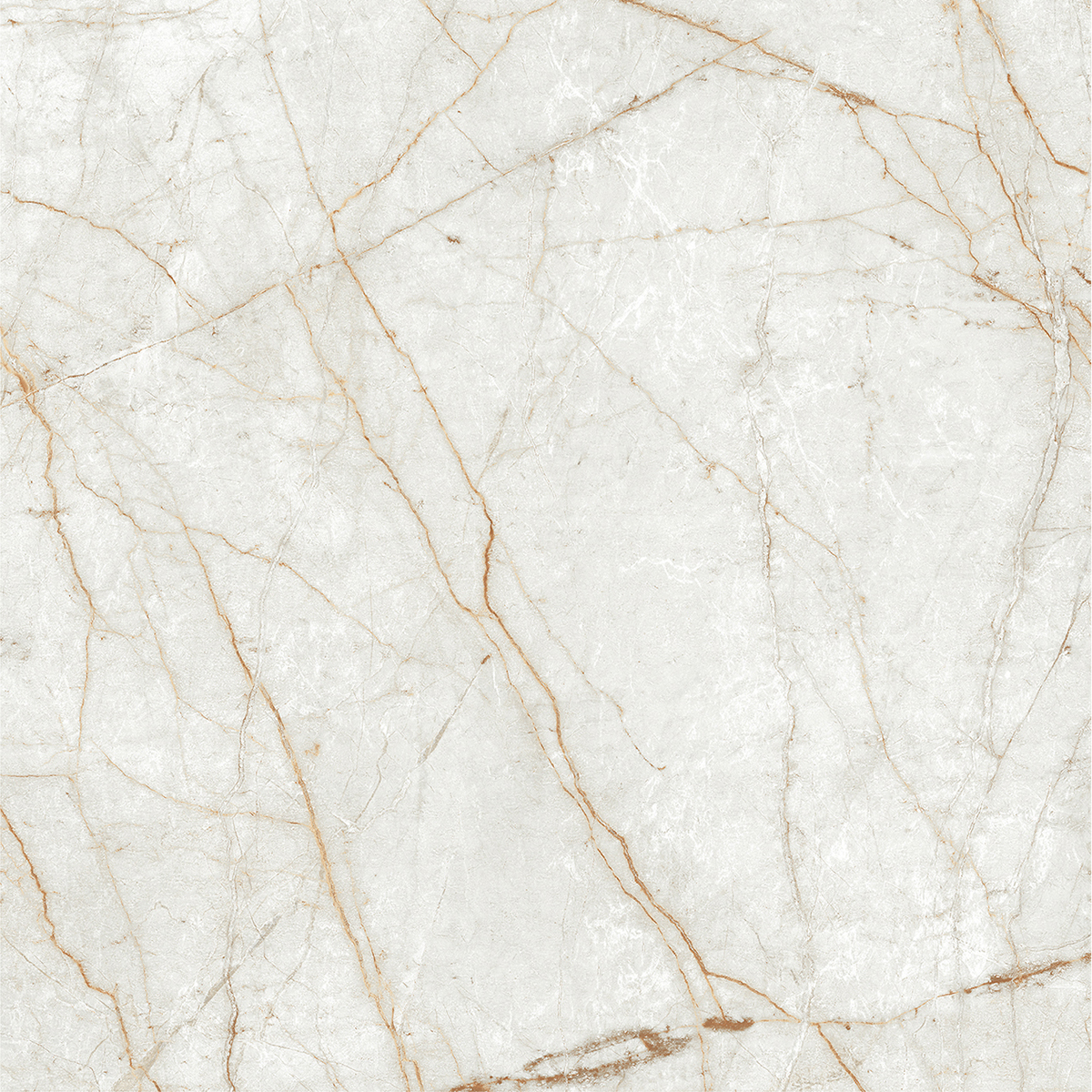 ALGARIA OYSTER