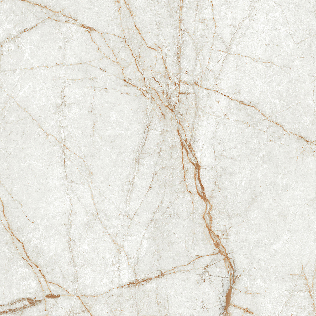 ALGARIA OYSTER