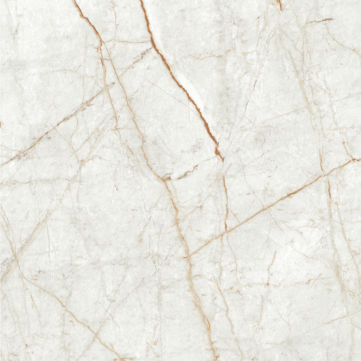 ALGARIA OYSTER