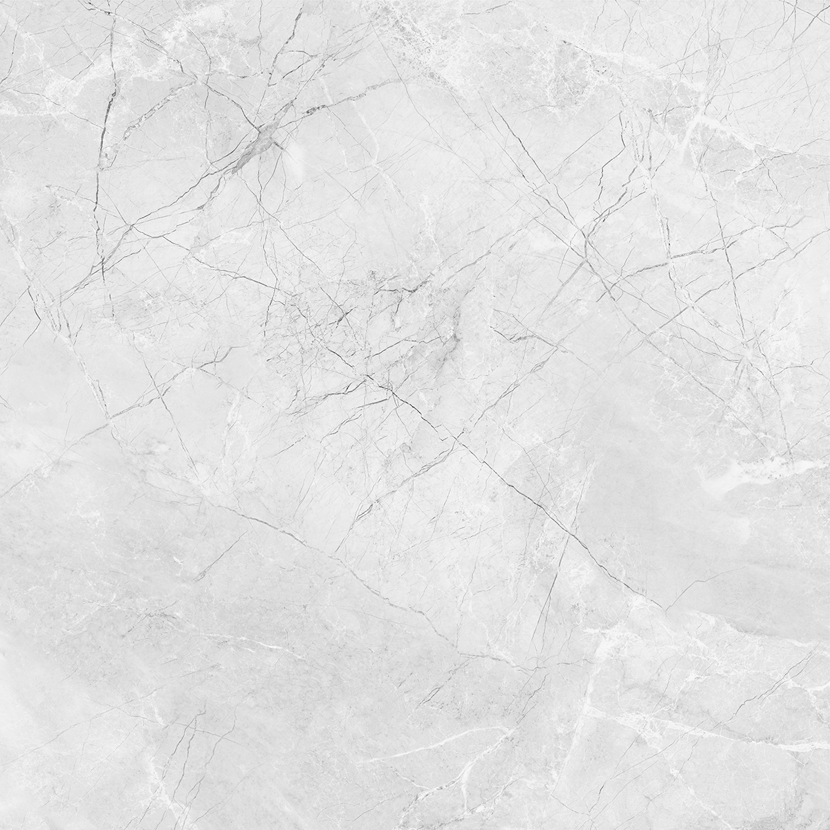 AMORINI BIANCO