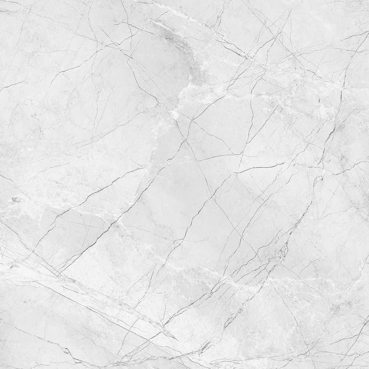 AMORINI BIANCO