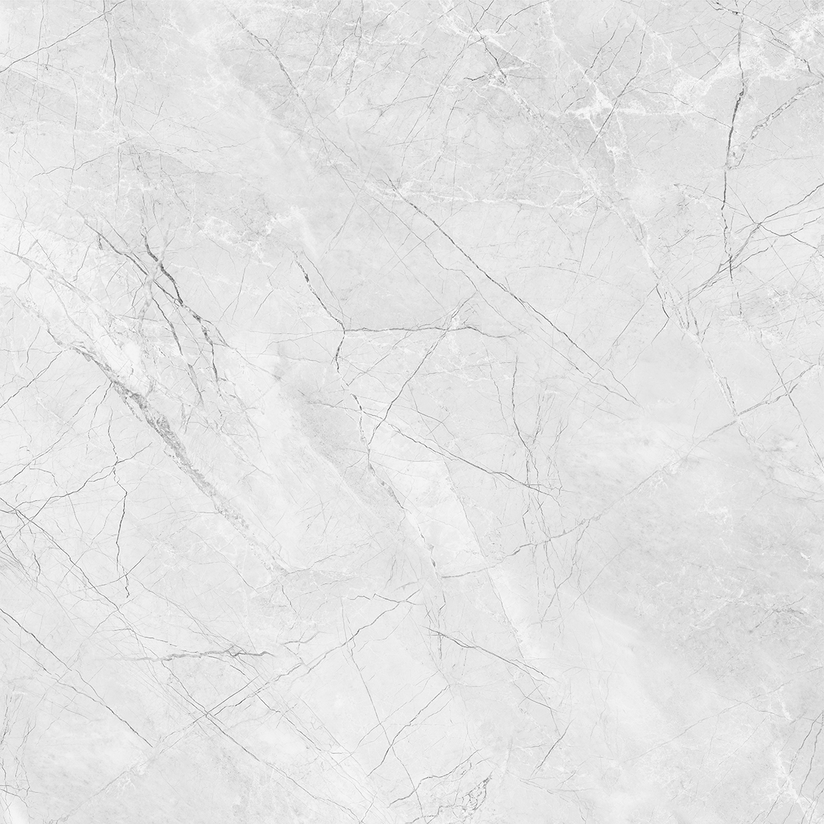 AMORINI BIANCO