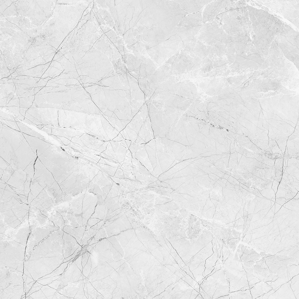 AMORINI BIANCO