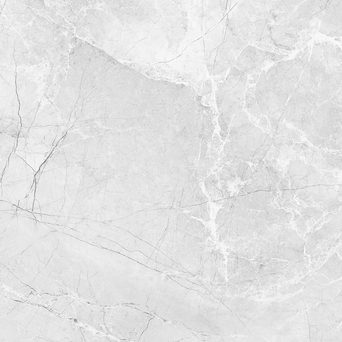 AMORINI BIANCO