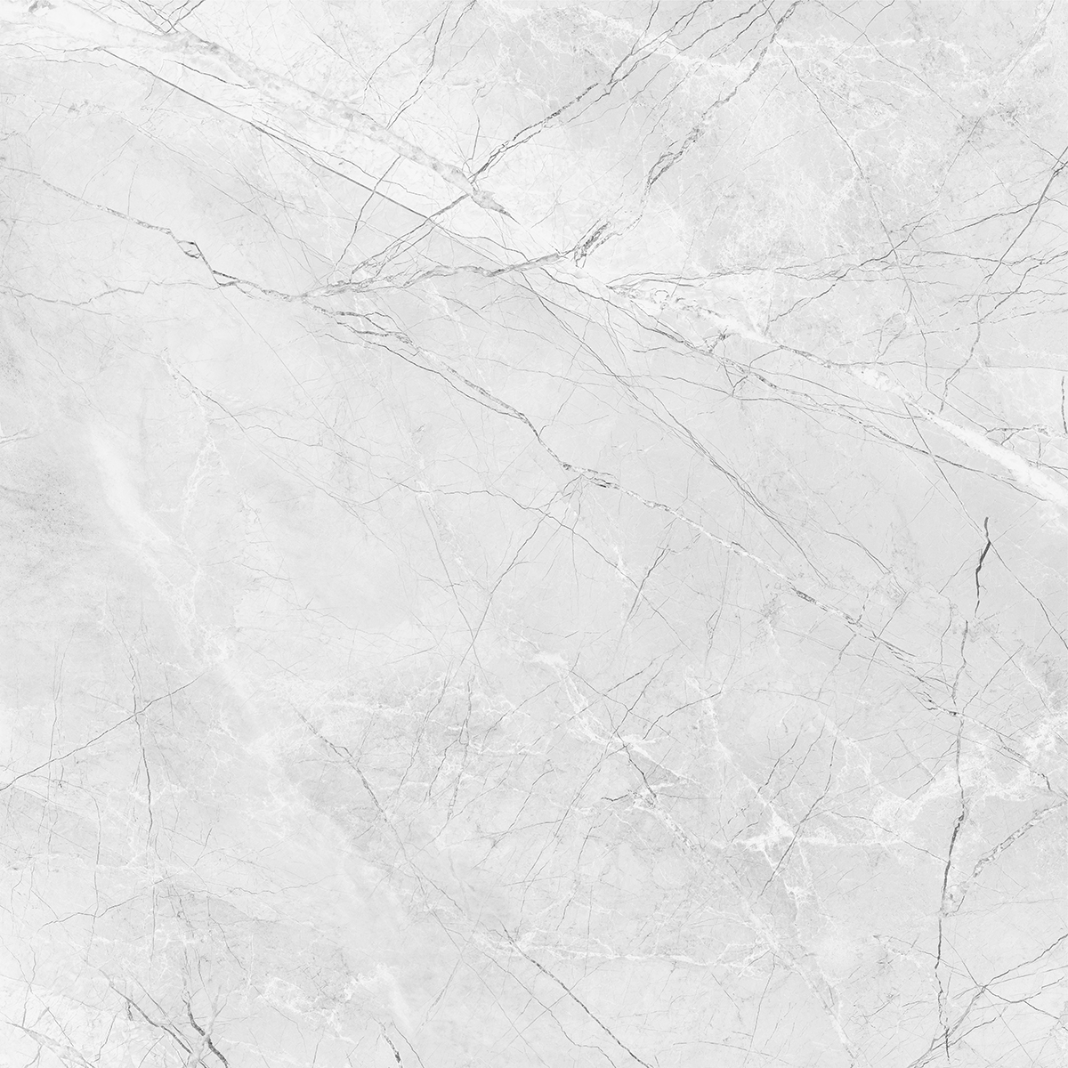 AMORINI BIANCO