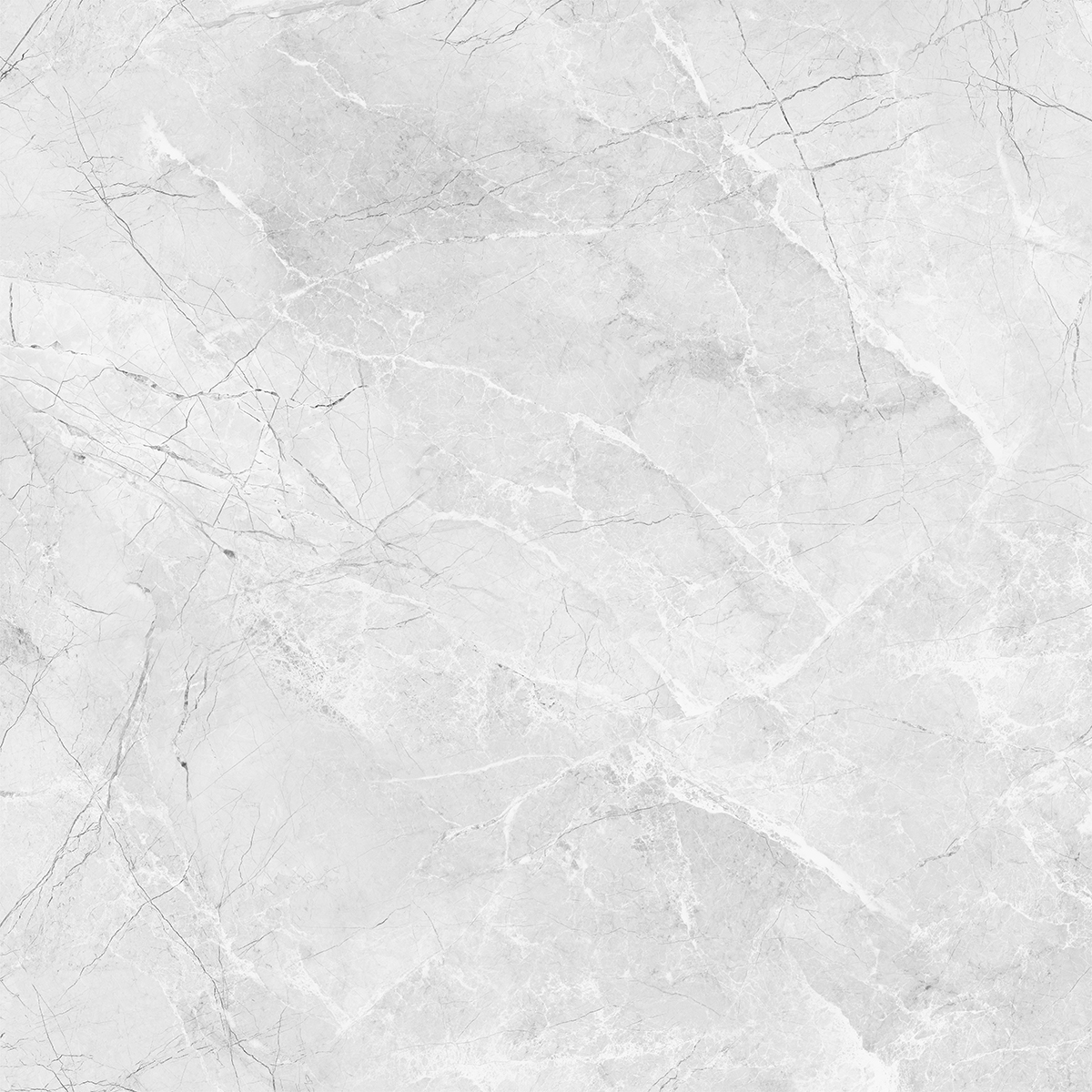 AMORINI BIANCO