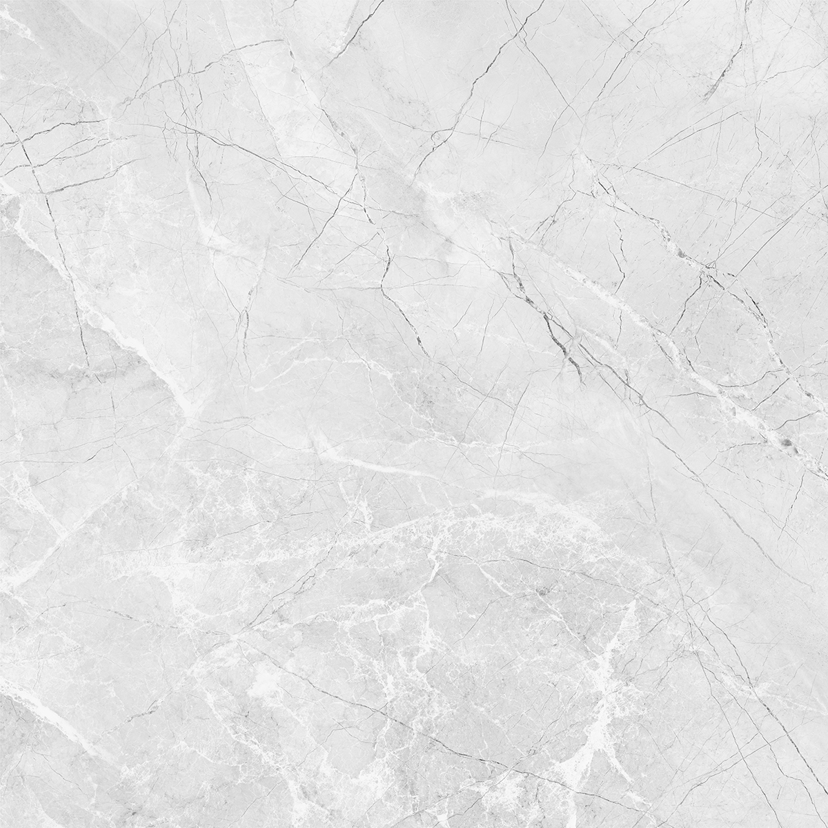 AMORINI BIANCO