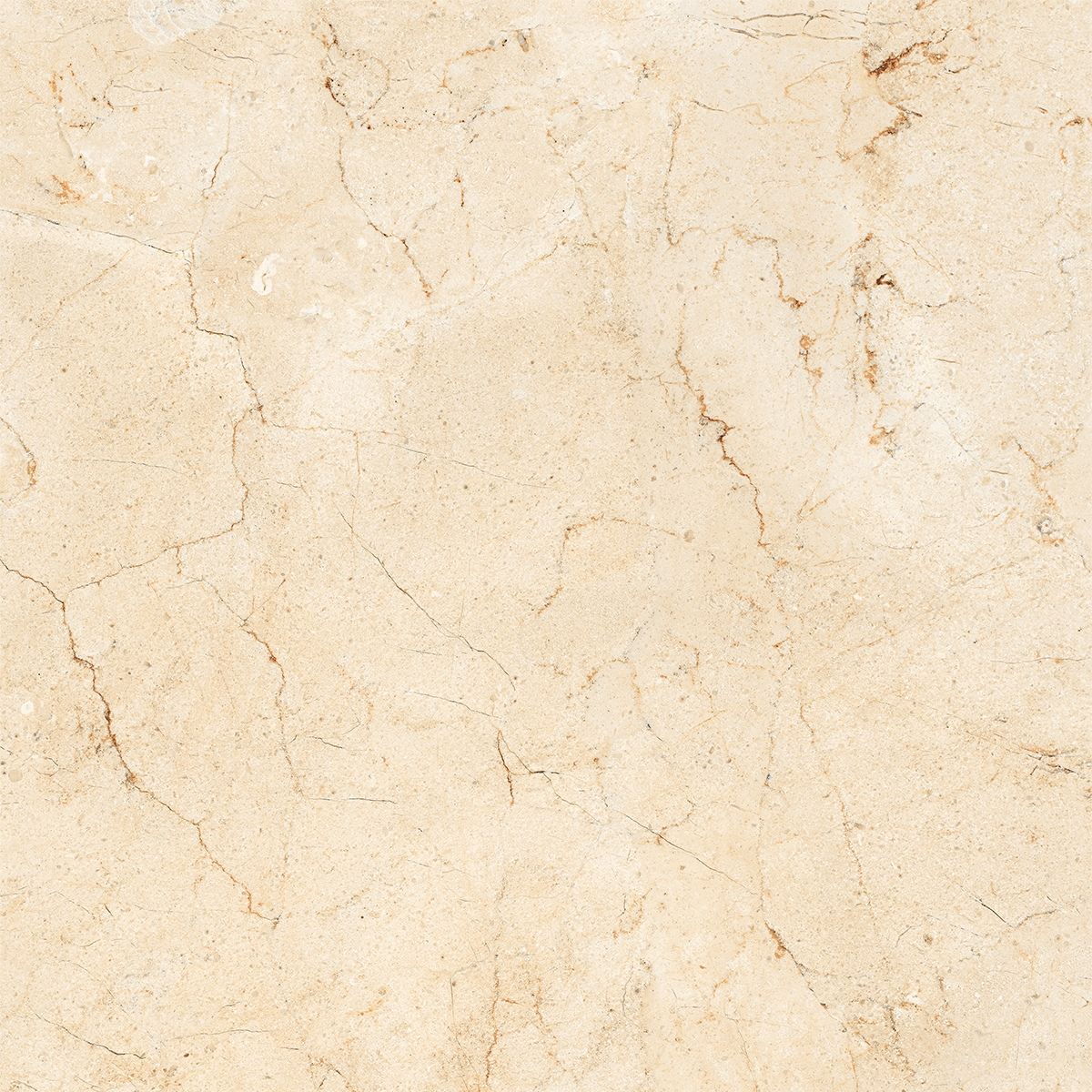 AMORS CREMA MARFIL