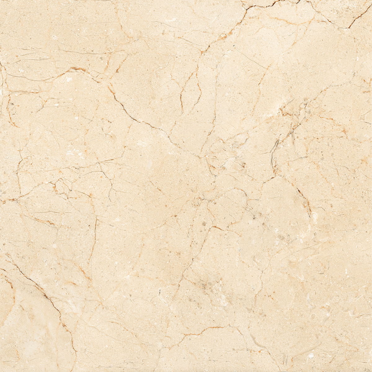 AMORS CREMA MARFIL