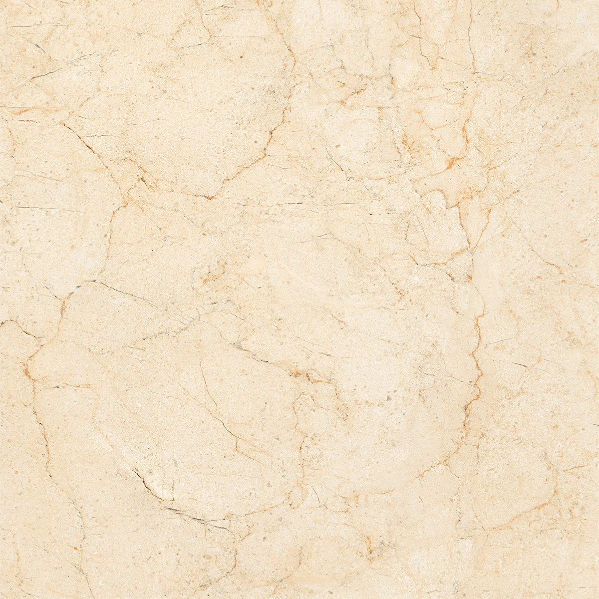 AMORS CREMA MARFIL