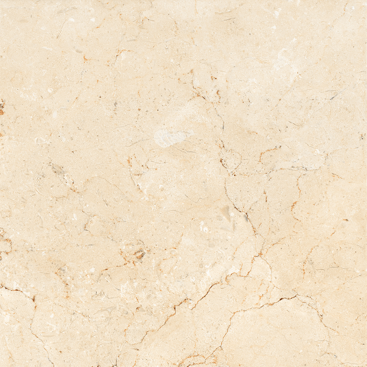 AMORS CREMA MARFIL