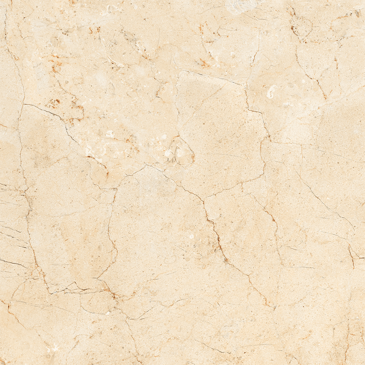 AMORS CREMA MARFIL