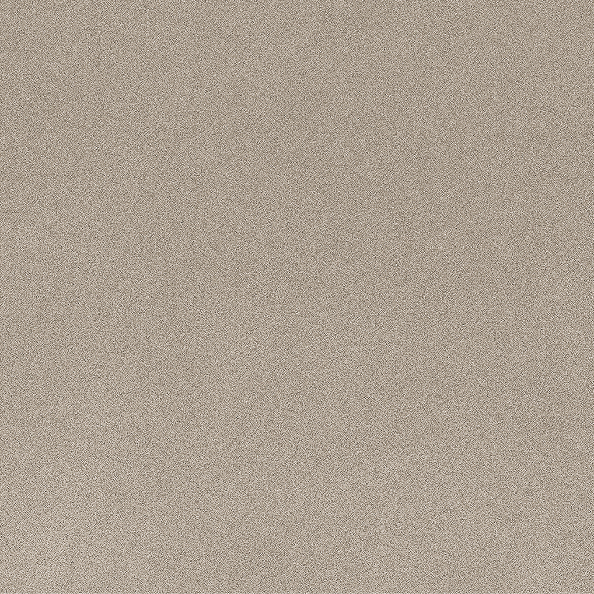 CARBON OLIVE