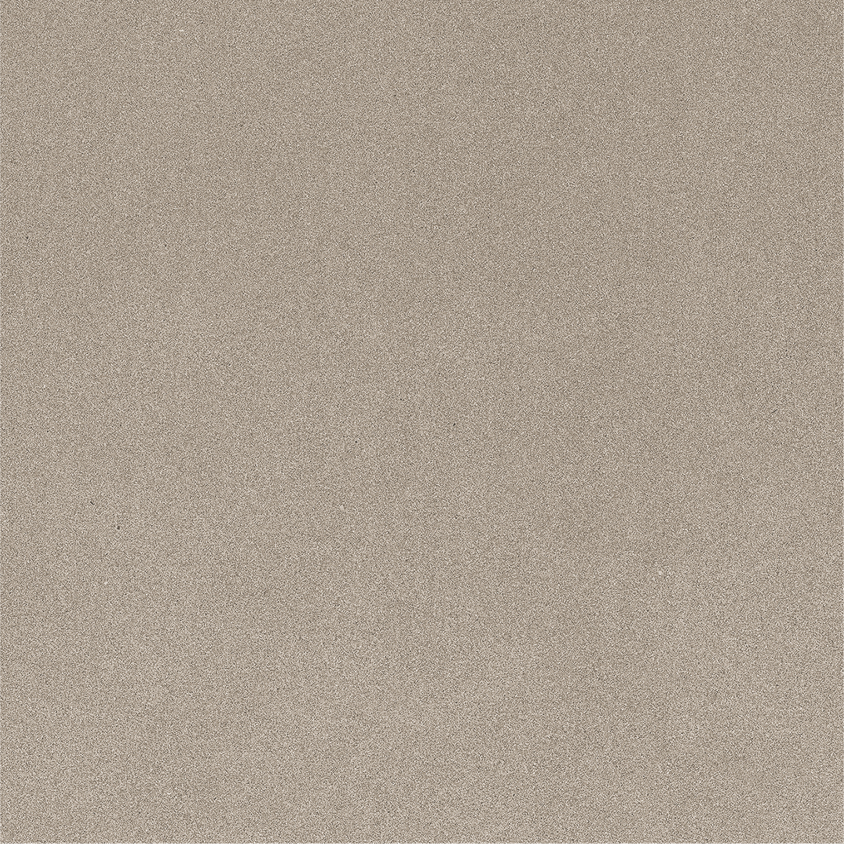 CARBON OLIVE
