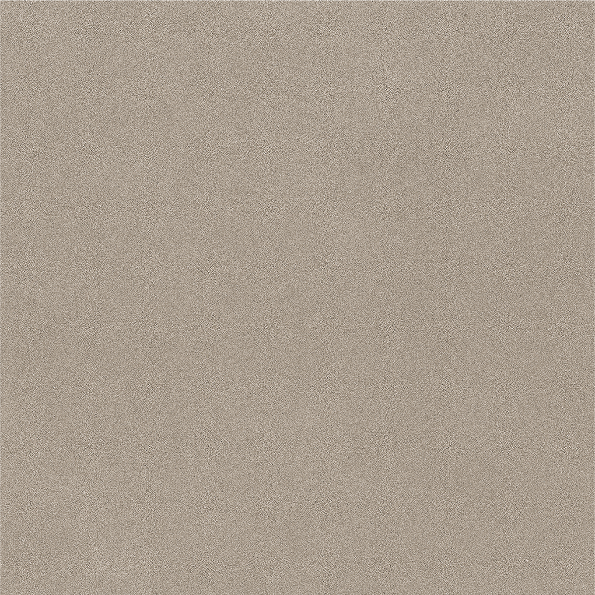 CARBON OLIVE