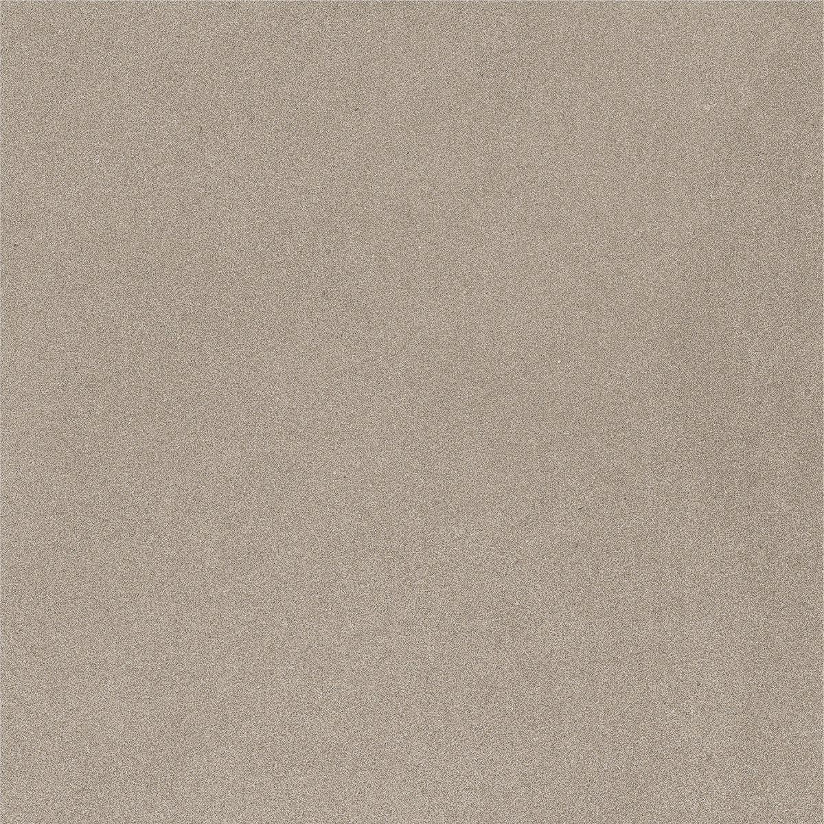 CARBON OLIVE