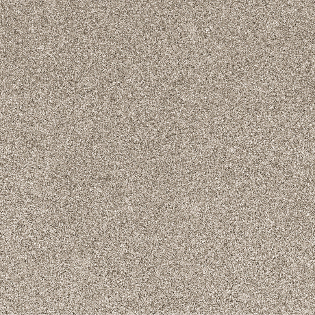 CARBON OLIVE