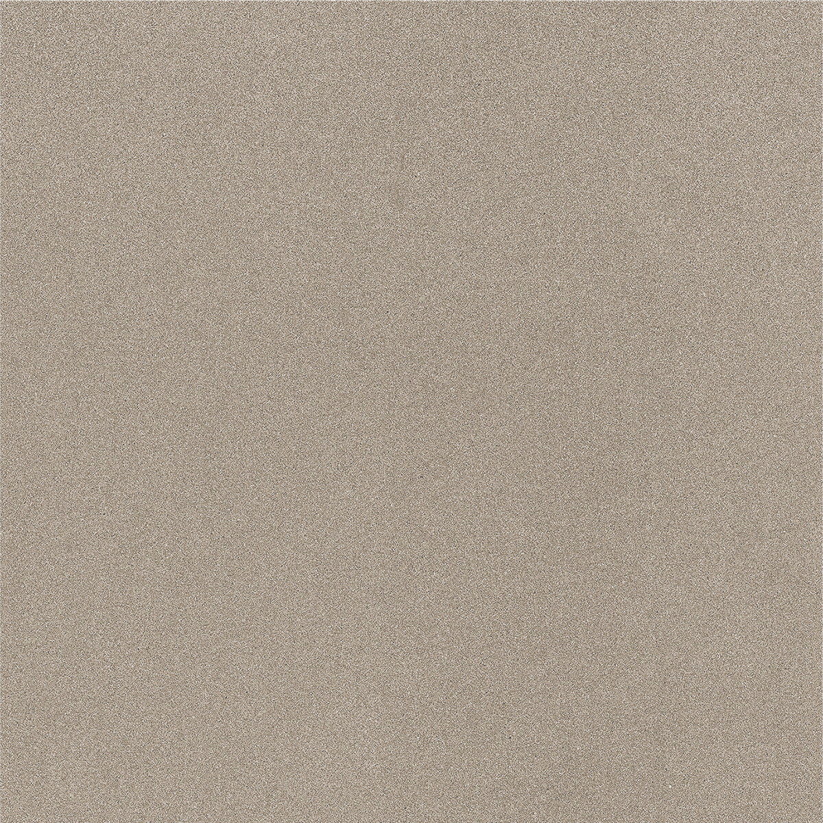 CARBON OLIVE