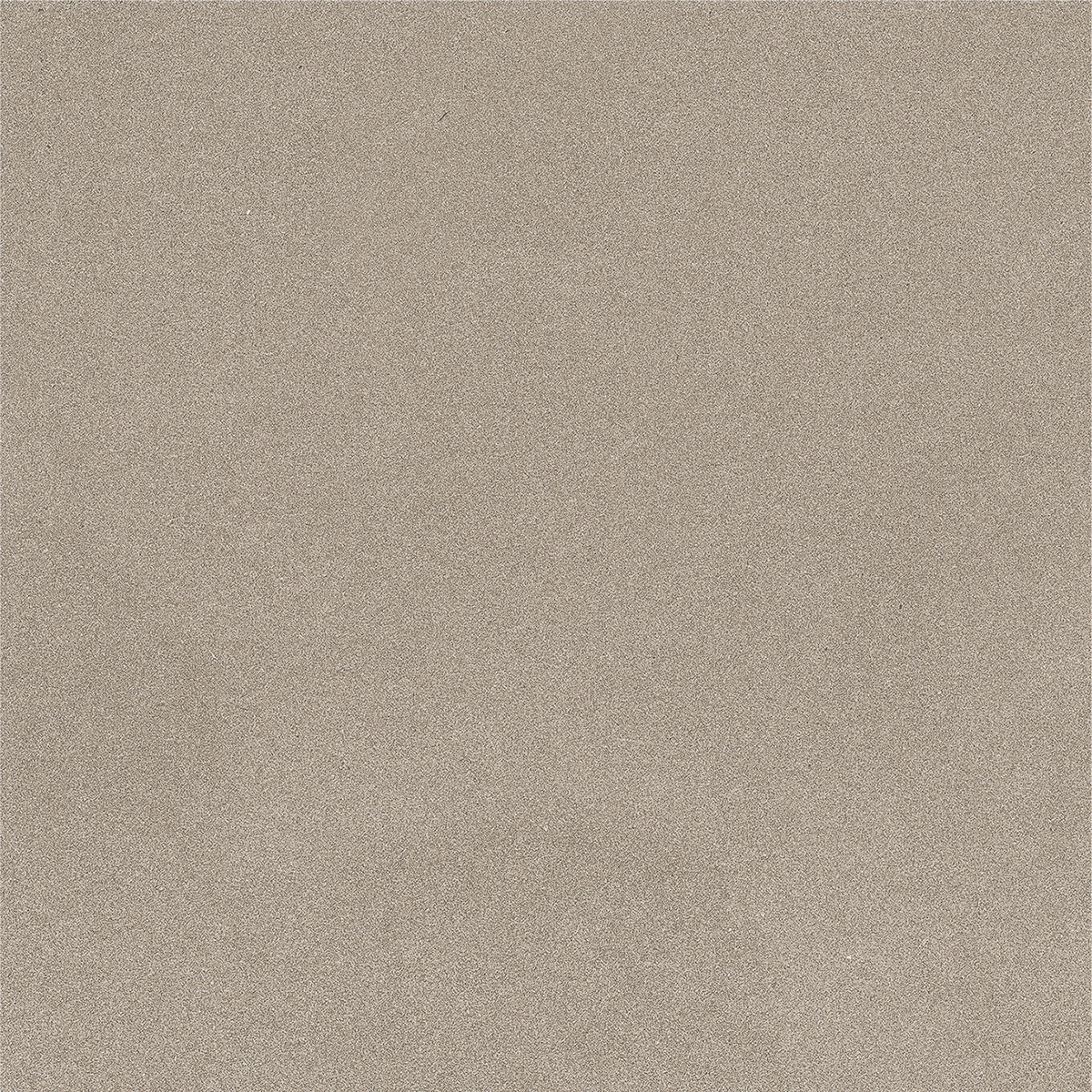 CARBON OLIVE