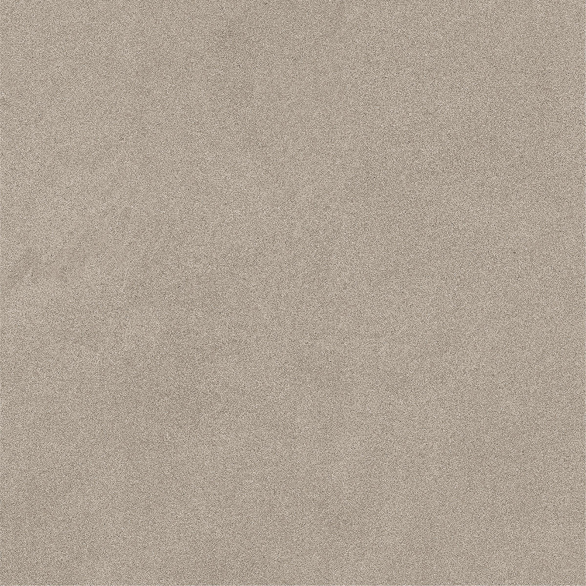 CARBON OLIVE