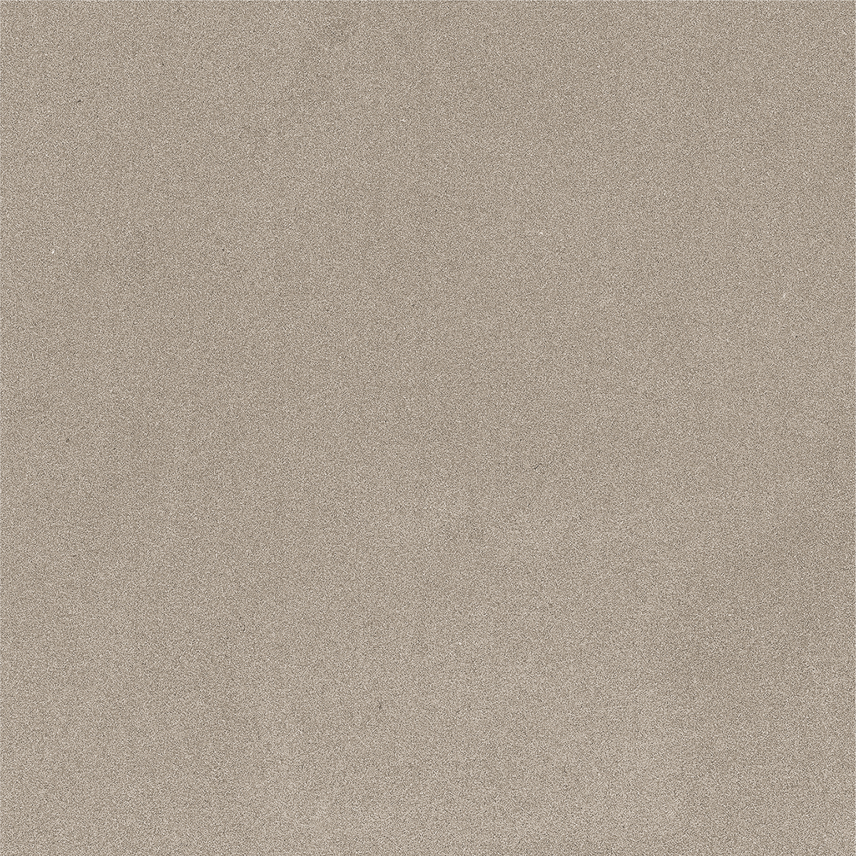 CARBON OLIVE