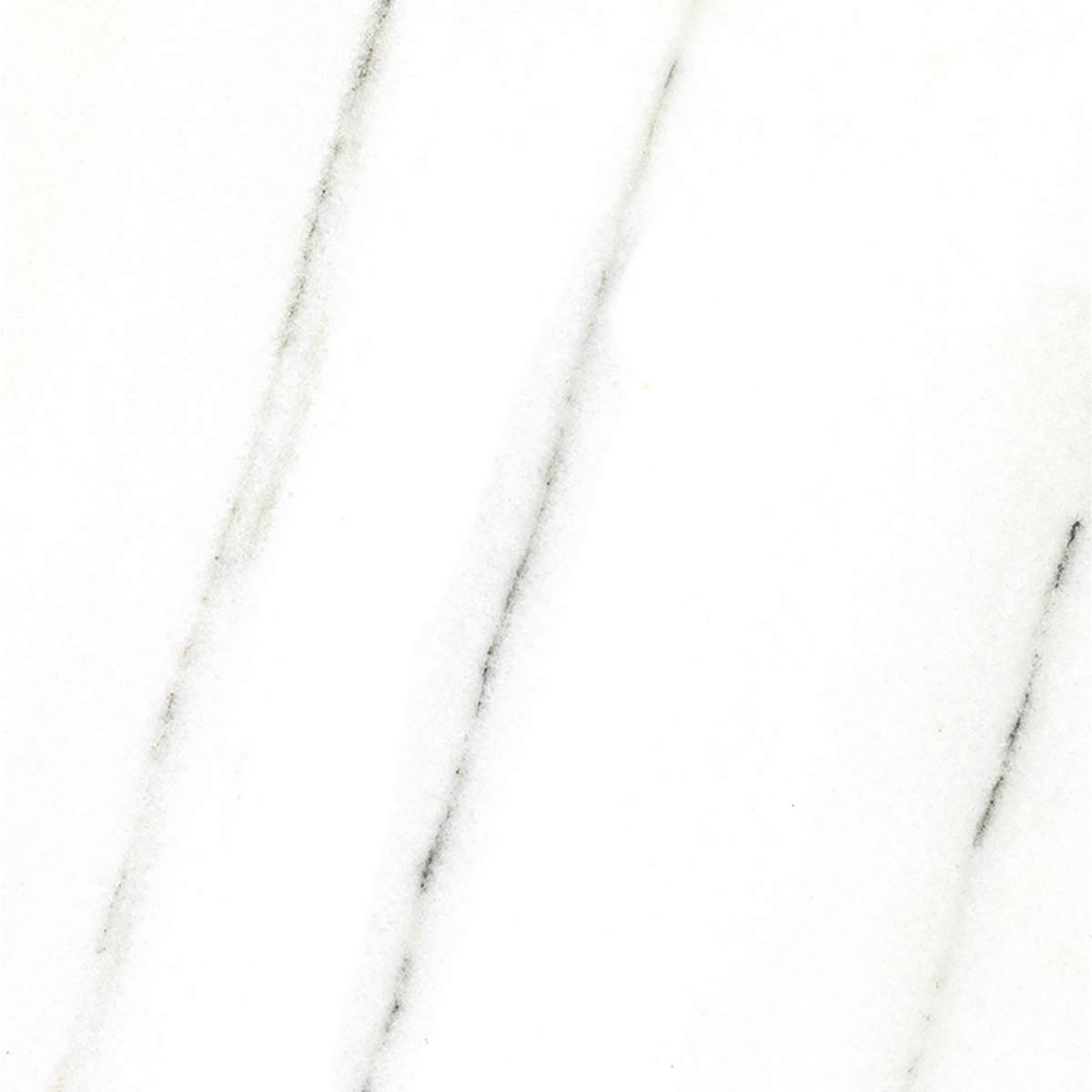 FRENCH WHITE