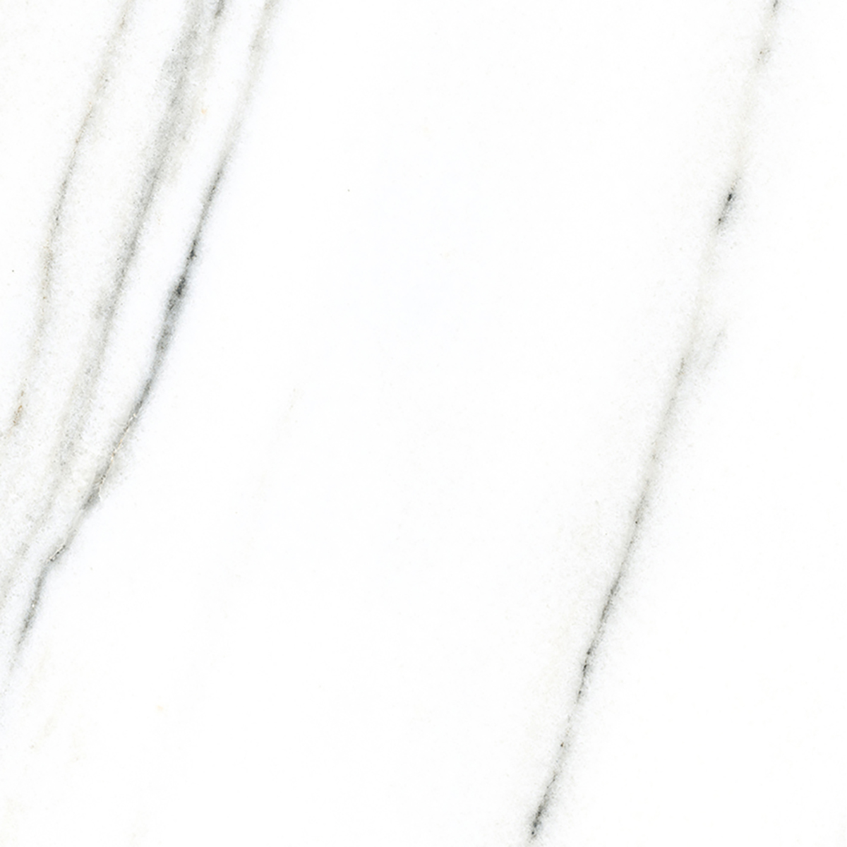 FRENCH WHITE