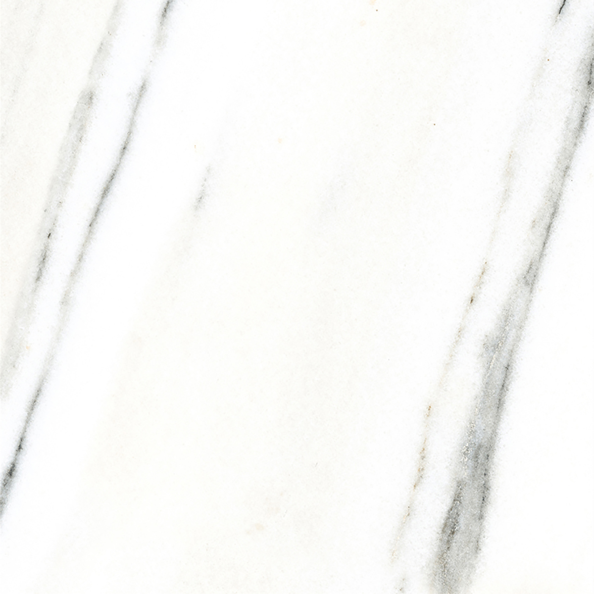 FRENCH WHITE