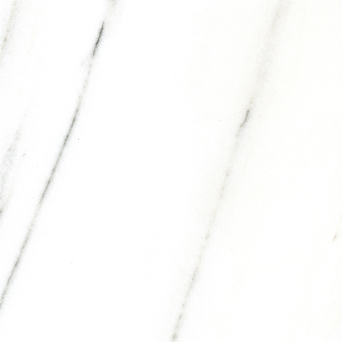 FRENCH WHITE