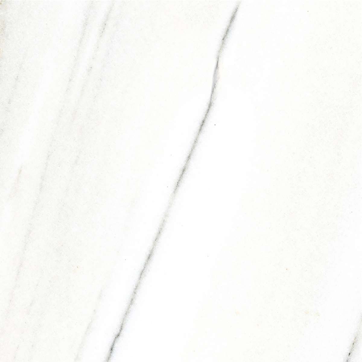 FRENCH WHITE