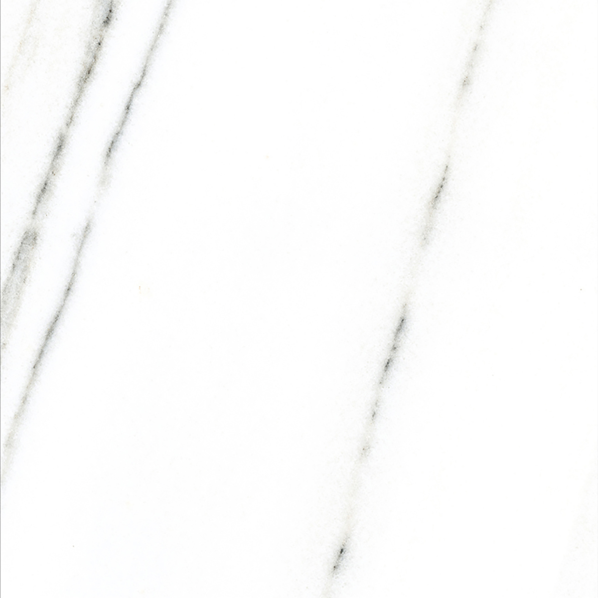 FRENCH WHITE