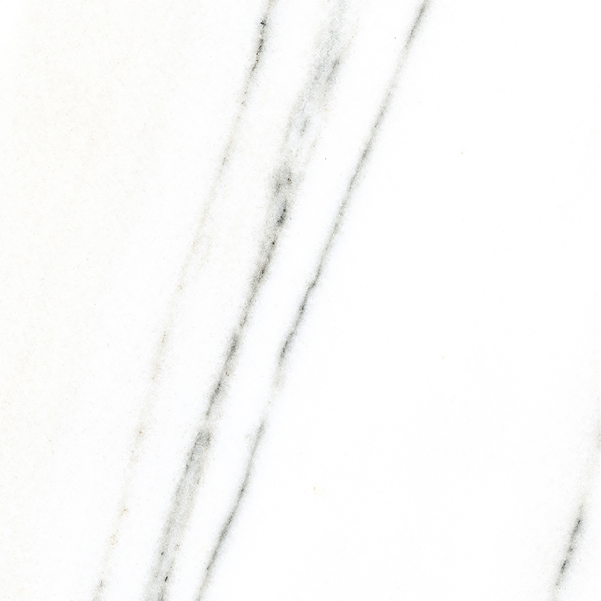 FRENCH WHITE