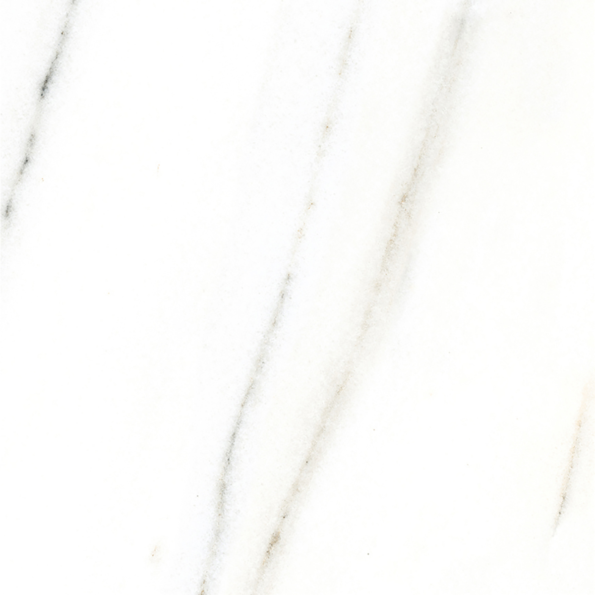 FRENCH WHITE