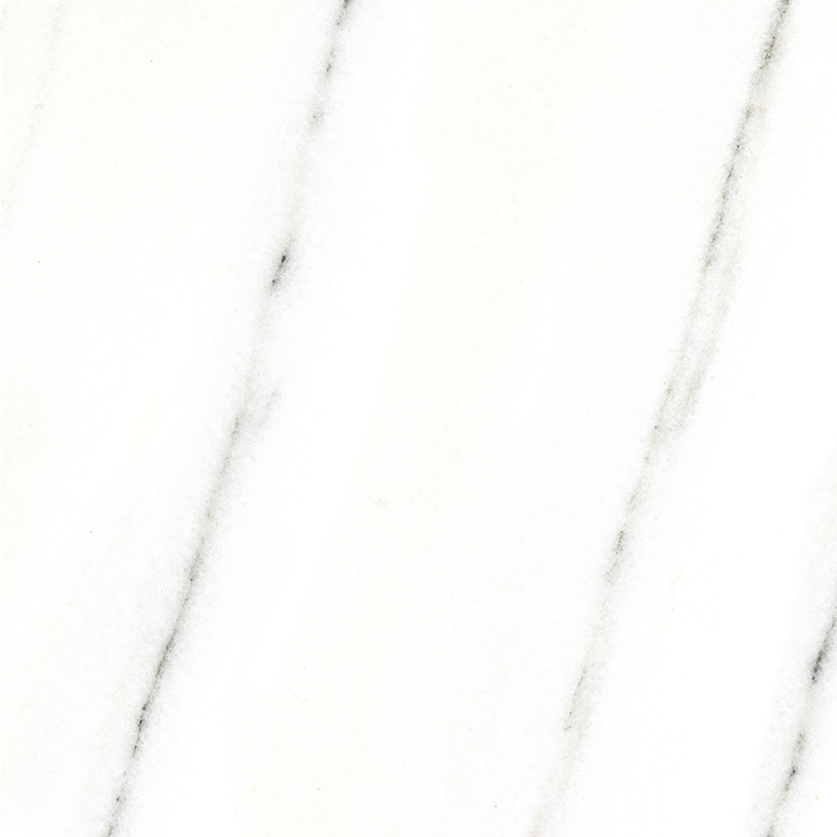 FRENCH WHITE