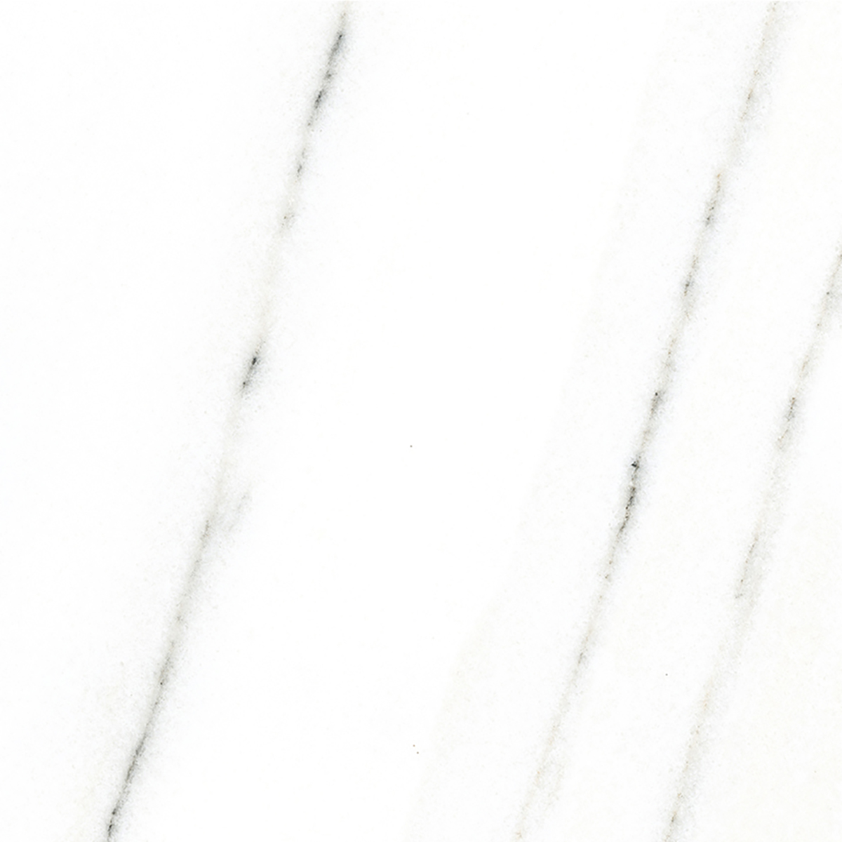 FRENCH WHITE