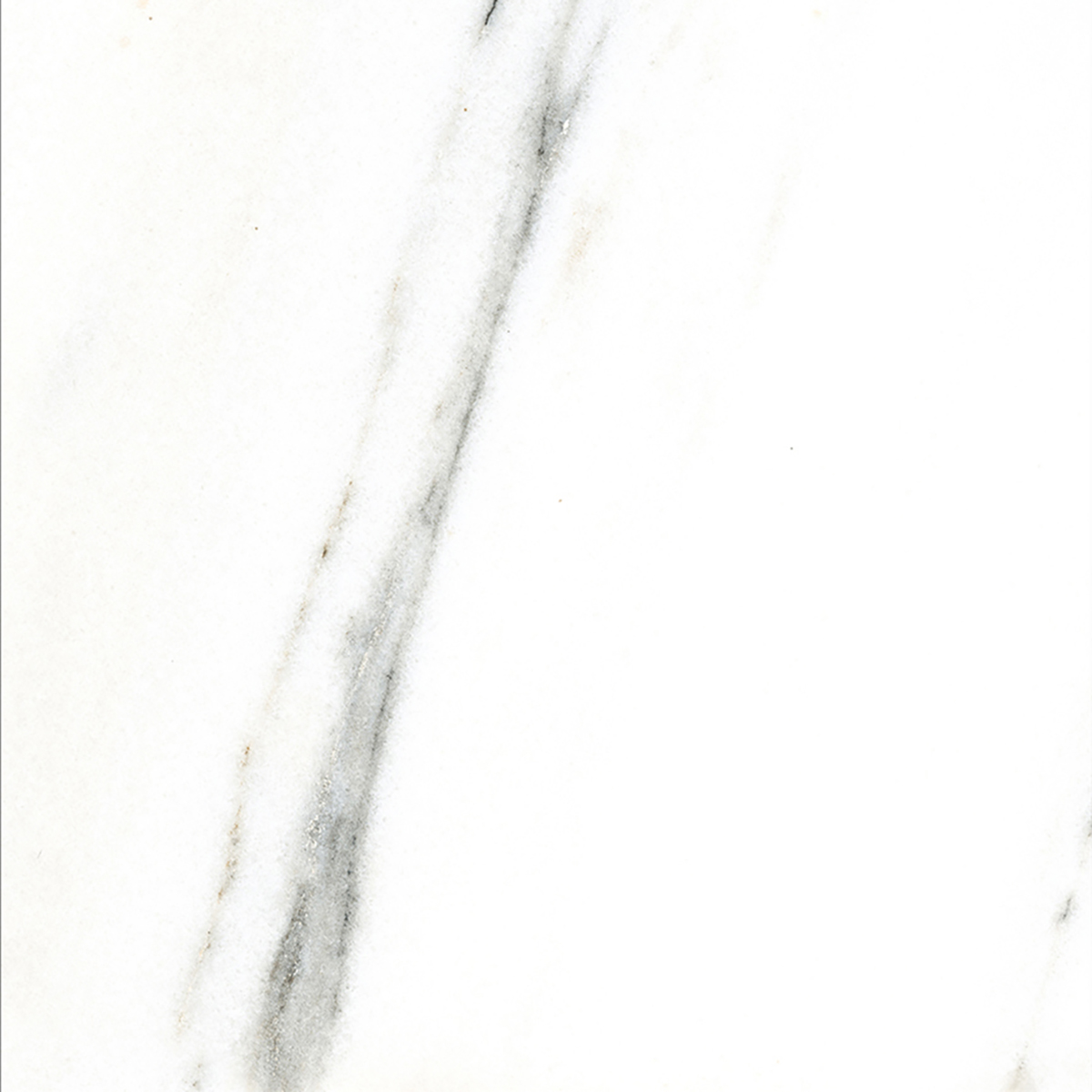 FRENCH WHITE