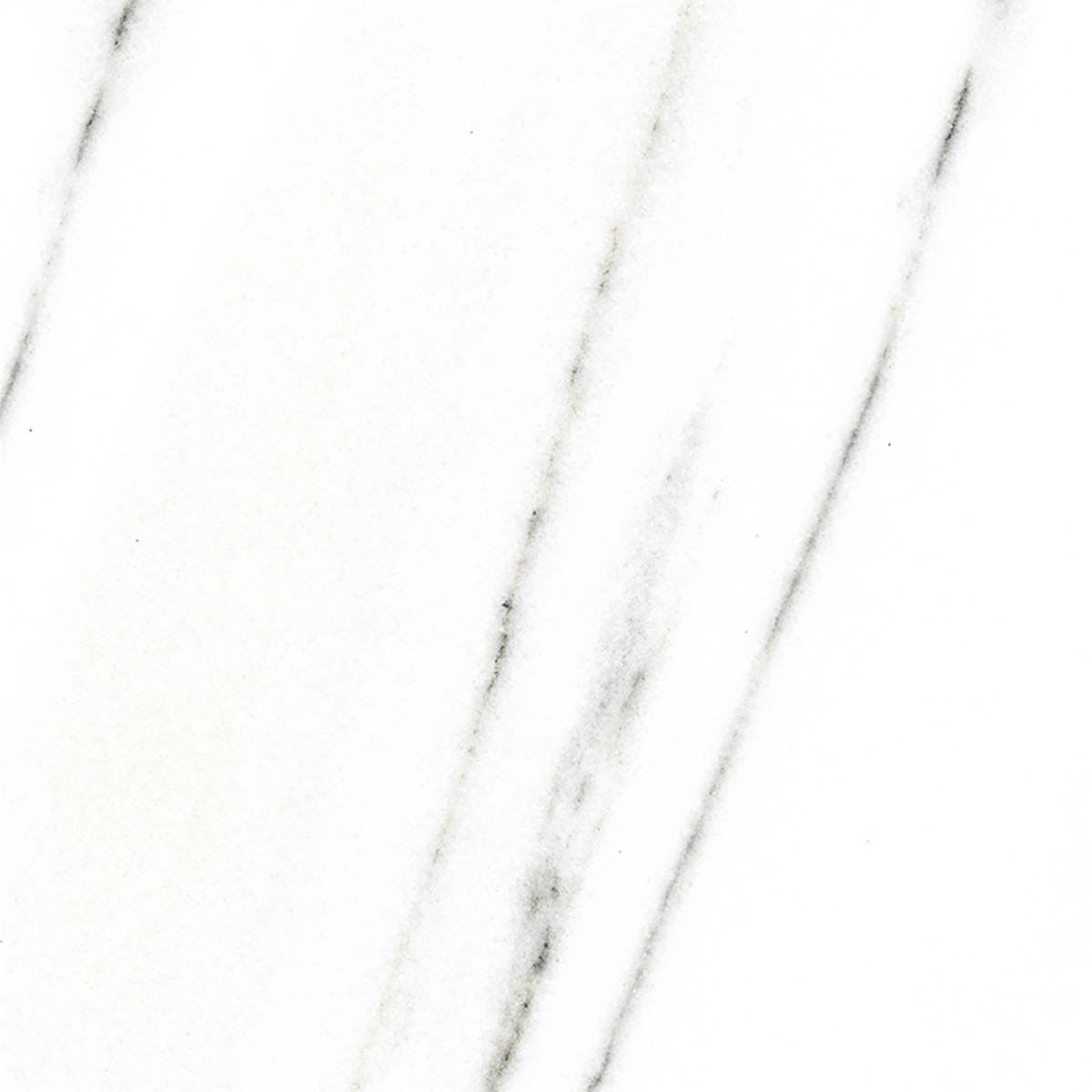 FRENCH WHITE