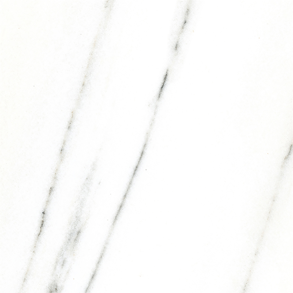 FRENCH WHITE