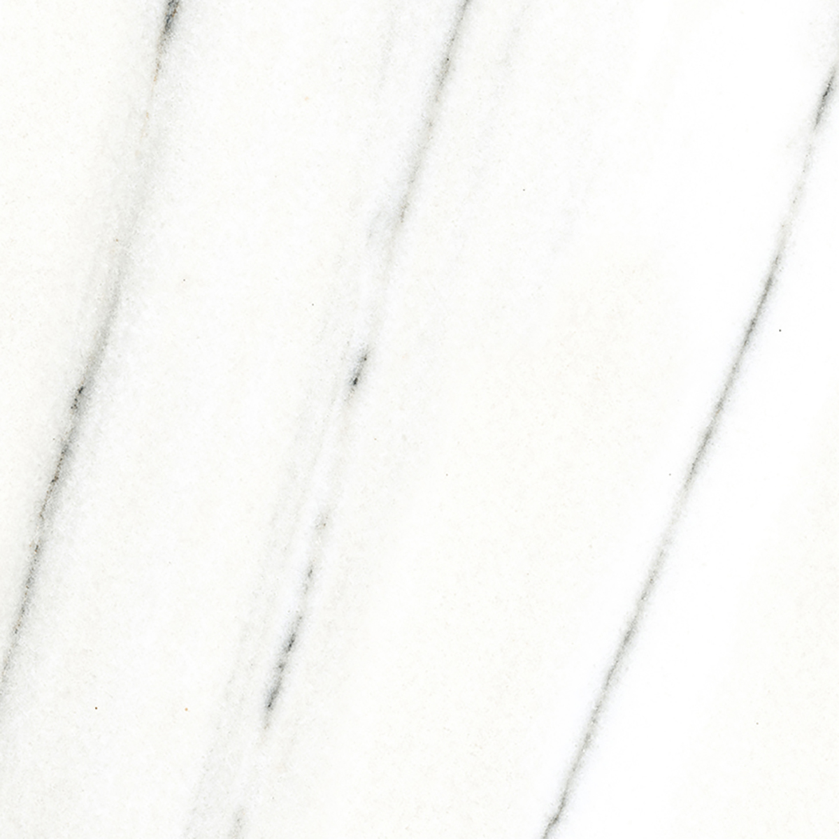 FRENCH WHITE