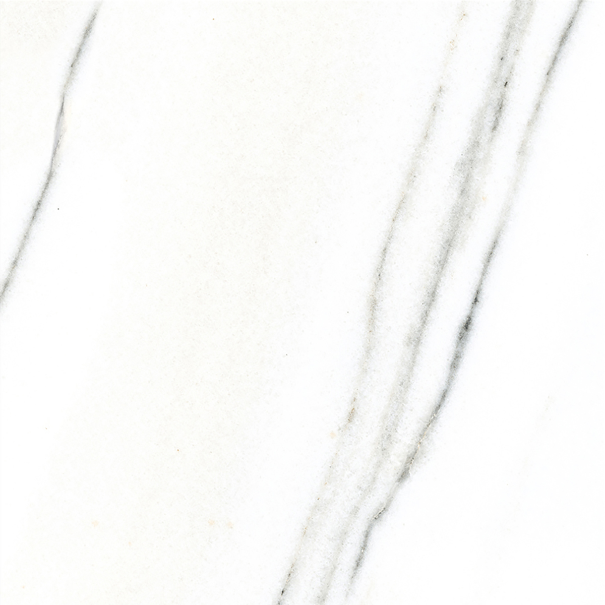 FRENCH WHITE