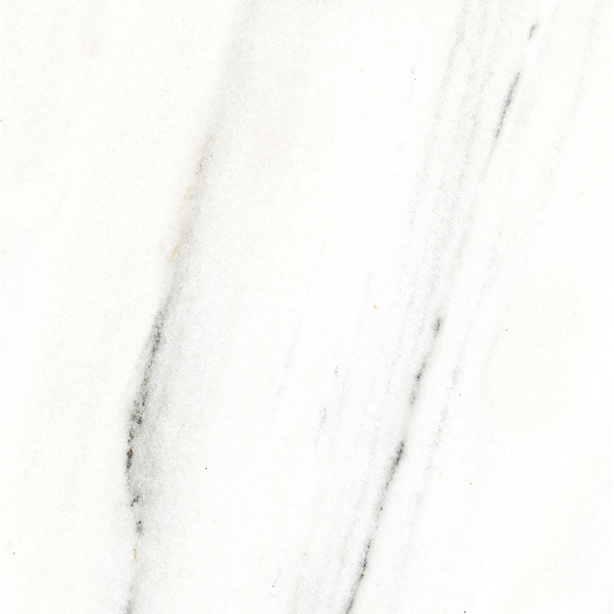 FRENCH WHITE