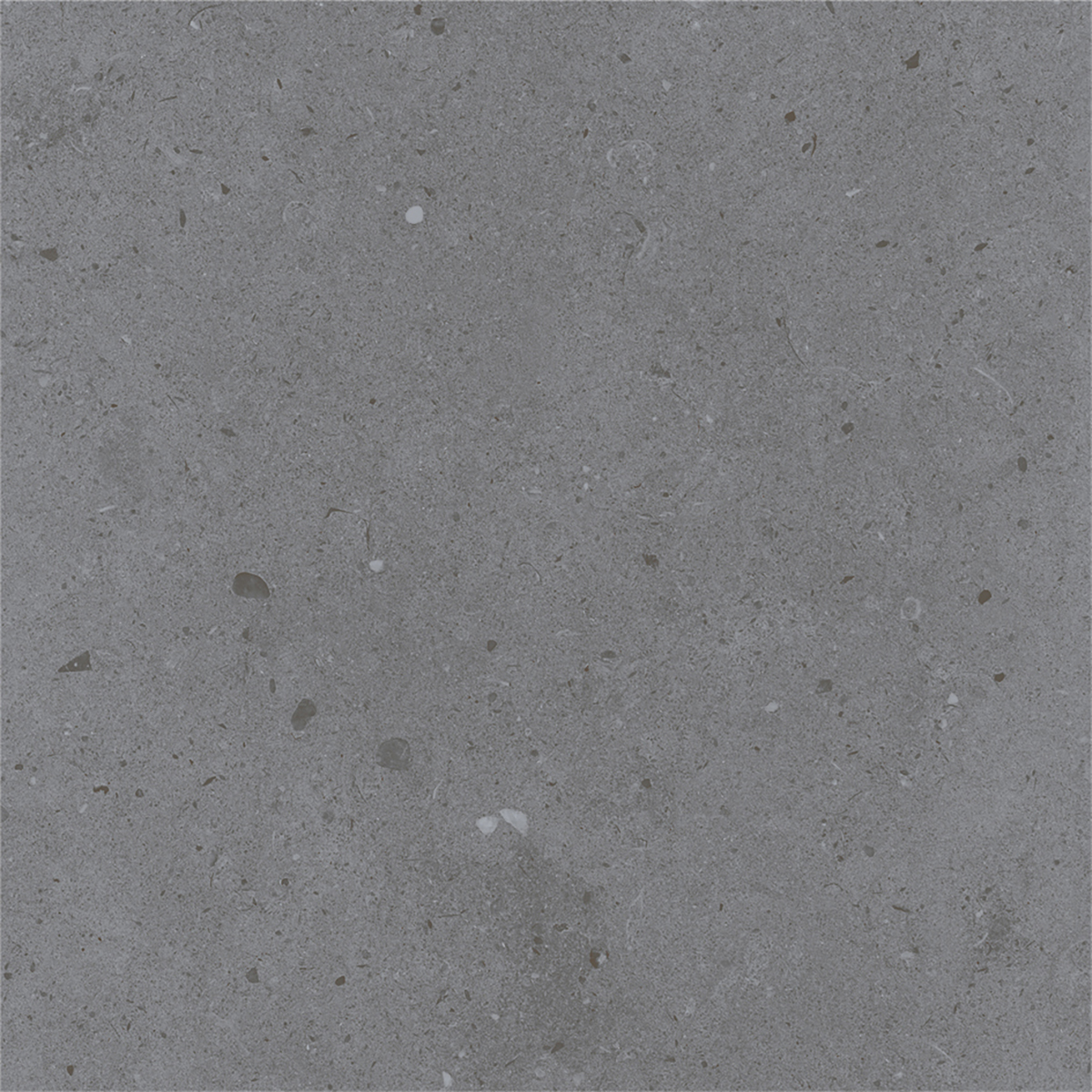LYON GREY