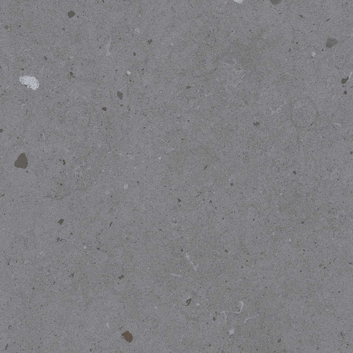 LYON GREY