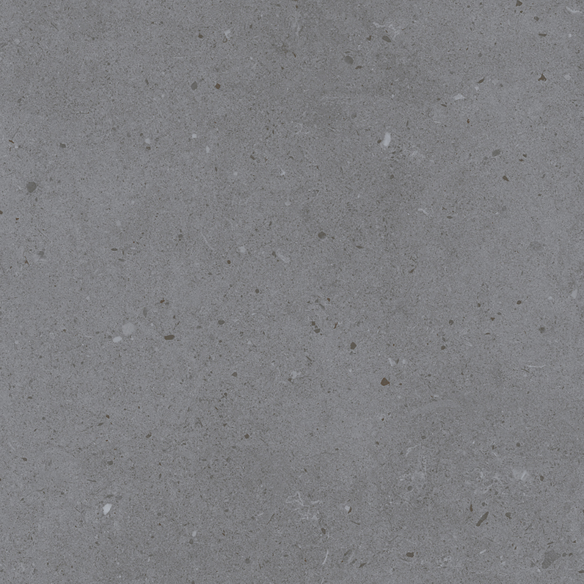 LYON GREY