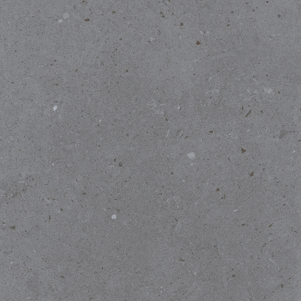 LYON GREY