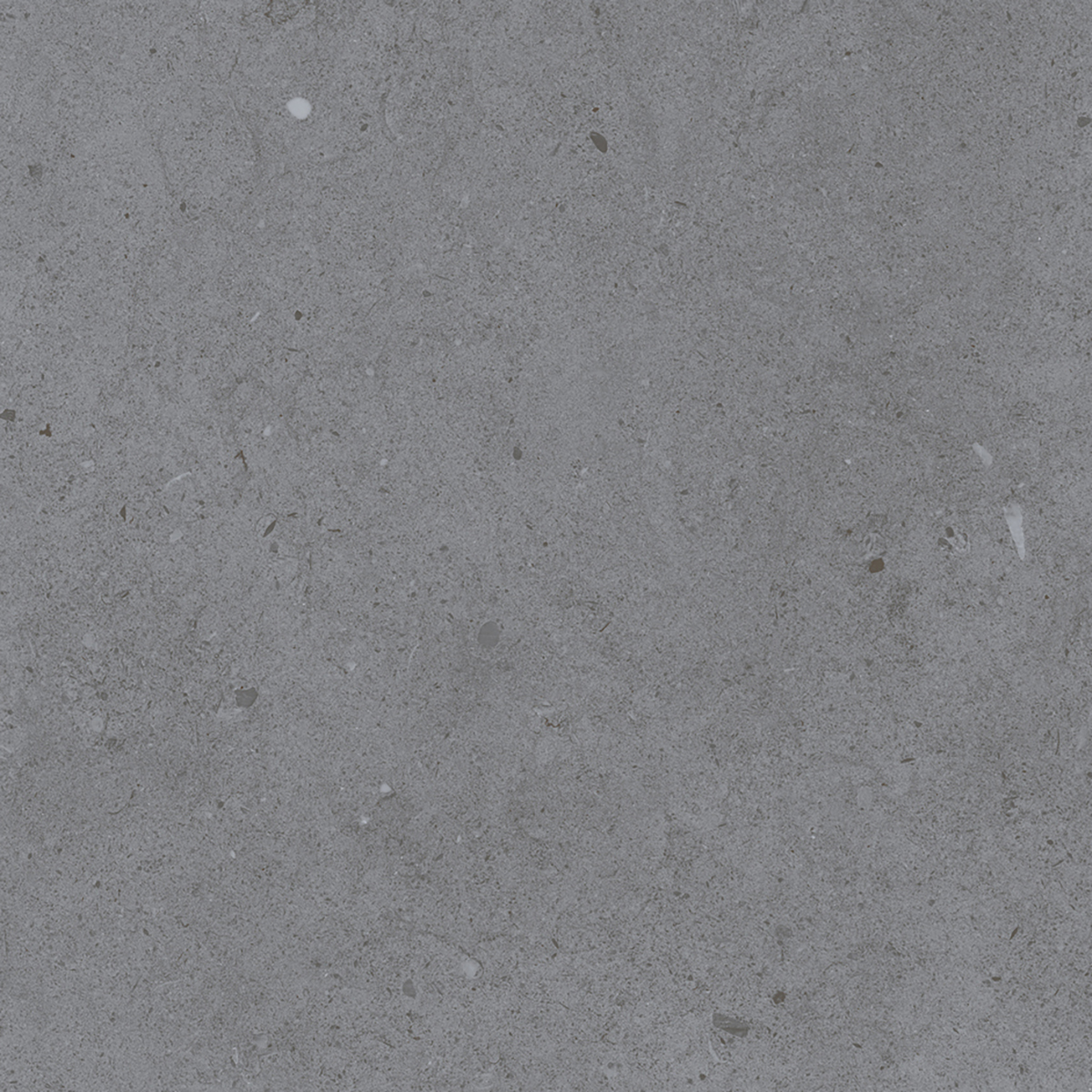 LYON GREY
