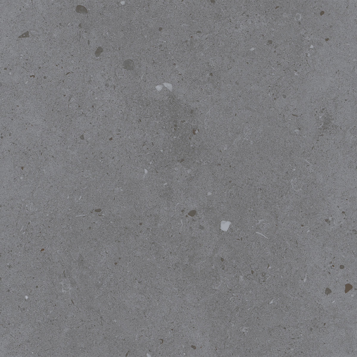 LYON GREY