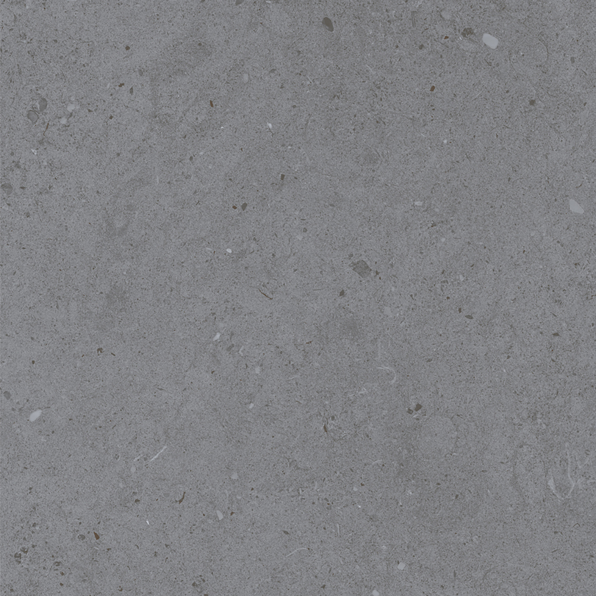 LYON GREY